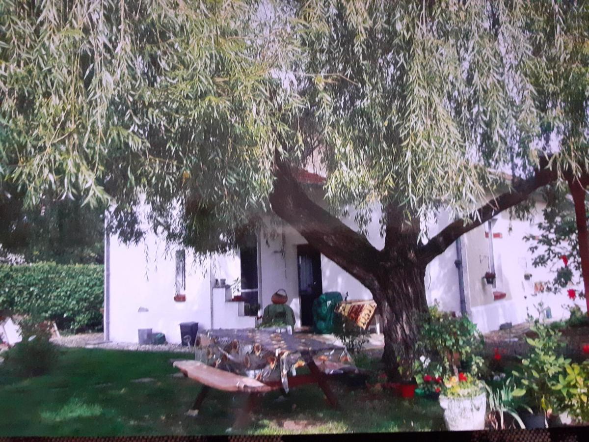 Hotel Peti Kaz Saint-Seurin-sur-l'Isle Exteriér fotografie